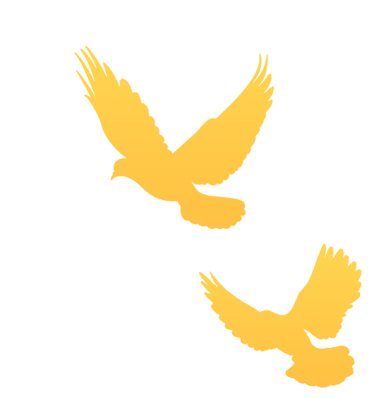 0dfec0fa-9b4b-4478-9b69-1b9e8aac533d.gif